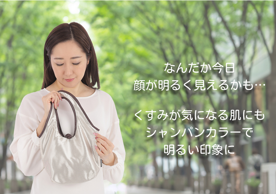 シャイニーペアバッグ nanfan